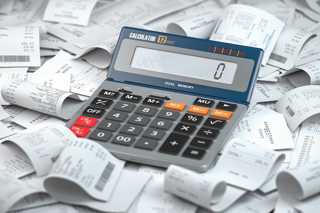 person reviewing weekly expenses on phone and notebook budget categories
